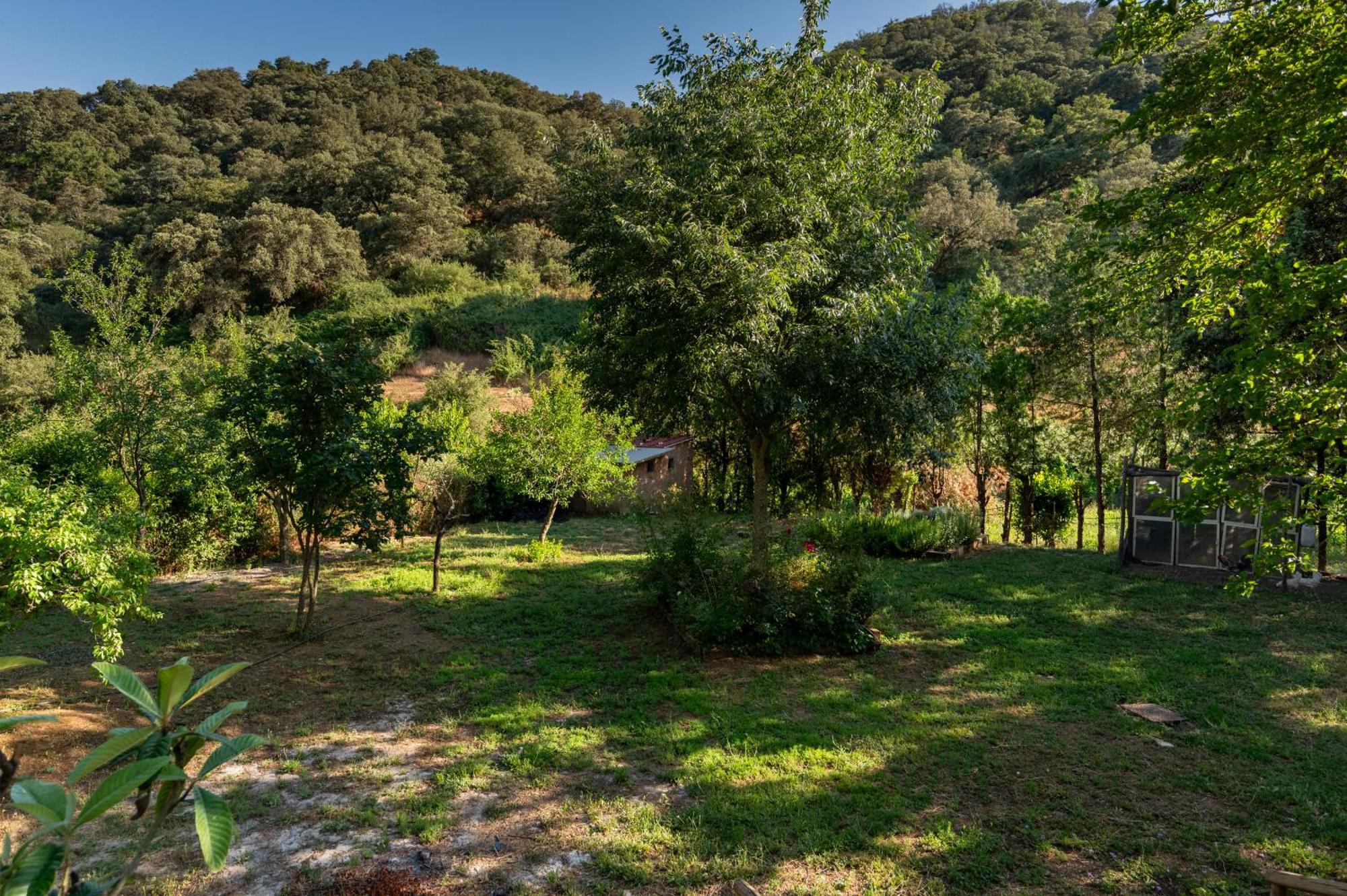 Ribera Del Hueznar Villa กาซาญา เดลา เซียร์รา ภายนอก รูปภาพ